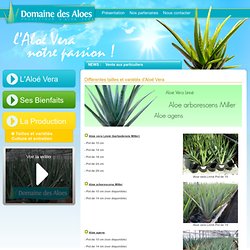 Vente Aloe Vera Linné, arborescens Miller, agens