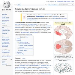 Ventromedial prefrontal cortex