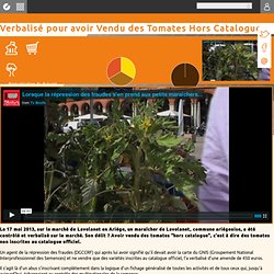 Verbalisé pour avoir Vendu des Tomates Hors Catalogue