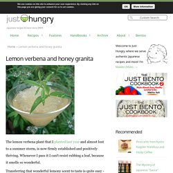 Lemon verbena and honey granita