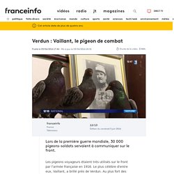 Verdun : Vaillant, le pigeon de combat