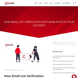 How Email List Verification Software Affects Your Success?