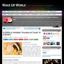 Is DHEA a Veritable 'Fountain of Youth' in a Bottle?