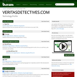 How veritasdetectives.com works