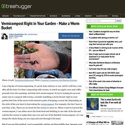 Vermicompost Right In Your Garden - Make A Worm Bucket