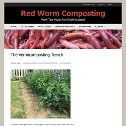 The Vermicomposting Trench