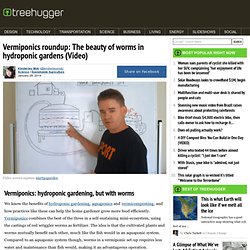 Vermiponics roundup: The beauty of worms in hydroponic gardens (Video)