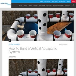 How to Build a Vertical Aquaponic System