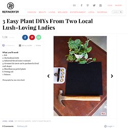 DIY Vertical Garden - How To Plant Projects