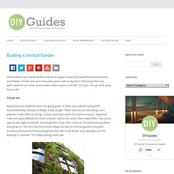 How To Build A Vertical Garden & DIY Guides