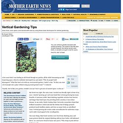 Vertical Gardening Tips - Organic Gardening