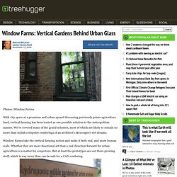 Window Farms: Vertical Gardens Behind Urban Glass : TreeHugger-Mozilla Firefox (Navegación privada)