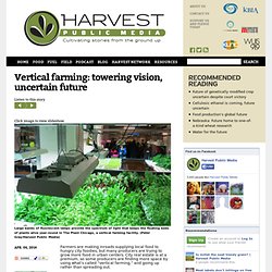 Vertical farming: towering vision, uncertain future