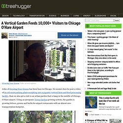 A Vertical Garden Feeds 10,000+ Visitors to Chicago O'Hare Airport