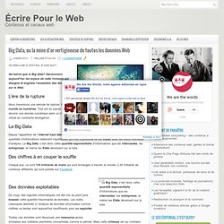 Big Data, ou la mine d’or vertigineuse de toutes les données Web