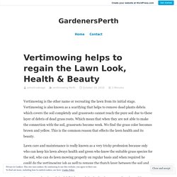 Vertimowing helps to regain the Lawn Look, Health & Beauty – GardenersPerth