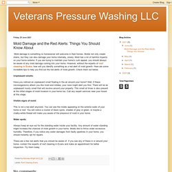 Veterans Pressure Washing LLC: Mold Damage and the Red Alerts: Things You Should Know About