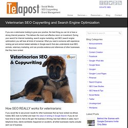 Veterinarian SEO Copywriting and Search Engine Optimization