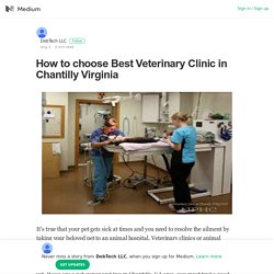How to choose Best Veterinary Clinic in Chantilly Virginia