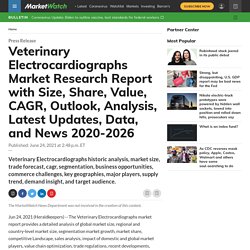 July 2021 report on Veterinary Electrocardiographs Market Research Report with Size, Share, Value, CAGR, Outlook, Analysis, Latest Updates, Data, and News 2020-2026