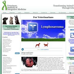 Veterinary Institute of Integrative Medicine