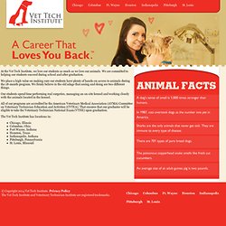 Technical: Vet Tech Institue (and Number of Campus's)