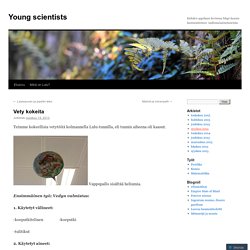 Young scientists