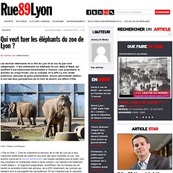 Qui veut tuer les éléphants du zoo de Lyon ?