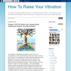Chapter 15 Of The Raise Your Vibration Book "Healing the Shadow" By Sabrina Reber
