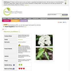 Viburnum prunifolium Stagberry, Black Haw, Hybrid blackhaw, Smooth Blackhaw, Blackhaw Viburnum PFAF Plant Database