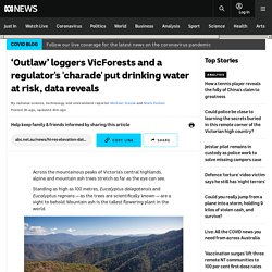 ‘Outlaw’ loggers VicForests and a regulator's 'charade' put drinking water at risk, data reveals