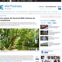 Les arbres du Canal du Midi victimes de vandalisme
