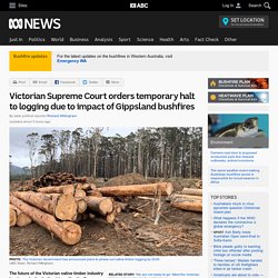 Victorian Supreme Court orders temporary halt to logging due to impact of Gippsland bushfires