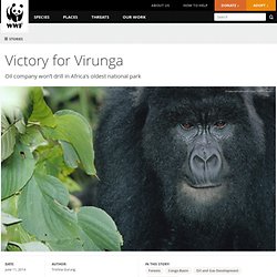 Victory for Virunga