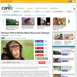 Victory! NIH to Retire Most Research Chimps