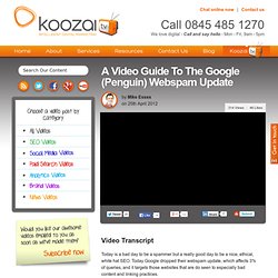 A Video Guide To The Google Webspam Update