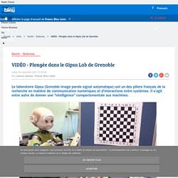 20/11/17 - VIDÉO - Plongée dans le Gipsa Lab de Grenoble