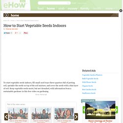 How to Start Vegetable Seeds Indoors