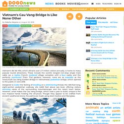 Vietnam's Cau Vang Bridge Is Like None Other Kids News Article