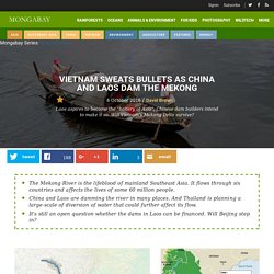 Vietnam sweats bullets as China and Laos dam the Mekong