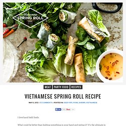 Vietnamese Spring Roll Recipe