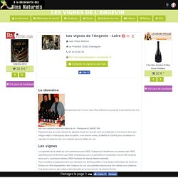 Les vignes de l'Angevin - Jean Pierre Robinot - Loire - Acheter en ligne