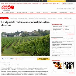Le vignoble redoute une industrialisation des vins