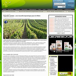 AGRI 44 - Actualités - Vignoble nantais : une nouvelle dynamique pour la filière