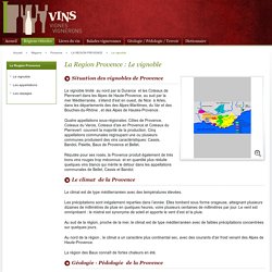 Le vignoble / LA REGION PROVENCE / Provence / Régions / Vins VignesVignerons