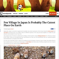 Fox Village In Japan