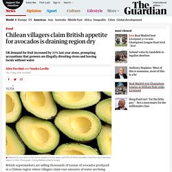 Chilean villagers claim British appetite for avocados is draining region dry