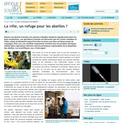 La ville, un refuge pour les abeilles