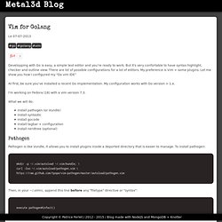 Vim for Golang