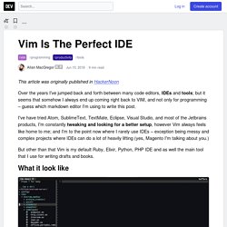 Vim Is The Perfect IDE - DEV Community